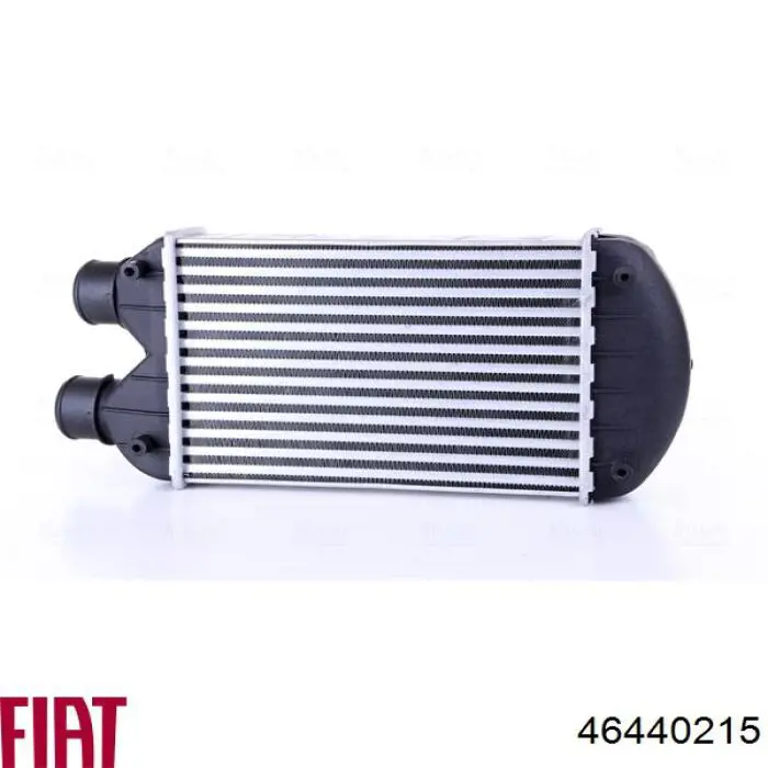Система охолодження наддувочного повітря Fiat/Alfa/Lancia 46440215 ціна, від 71.08 USD