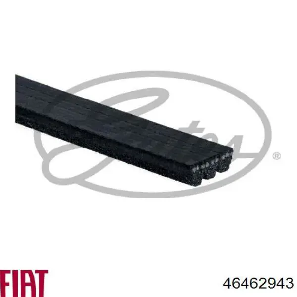 Купити 46462943 Fiat/Alfa/Lancia Ремінь генератора