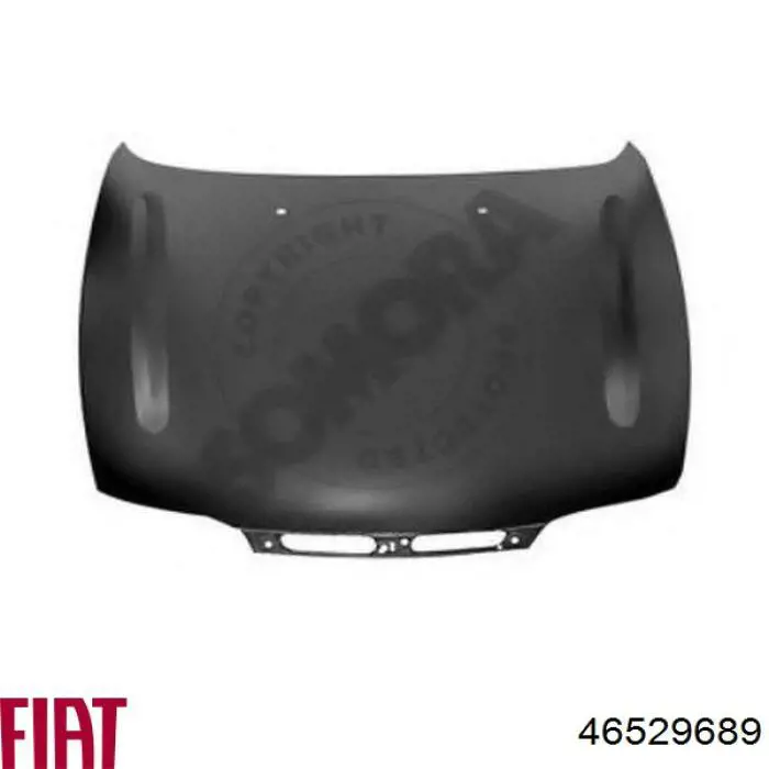 Капот Fiat/Alfa/Lancia 46529689 ціна, від 2739.22 USD