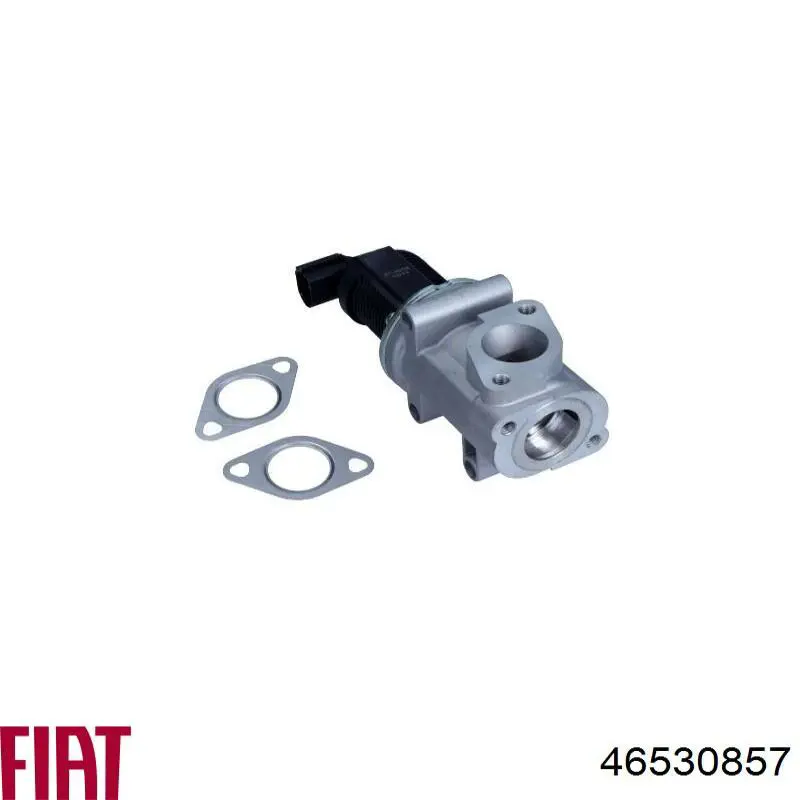 Клапан EGR Fiat/Alfa/Lancia 46530857 ціна, від 17.73 USD