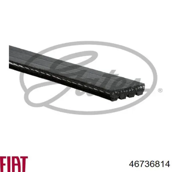 Ремінь генератора 46736814 Fiat/Alfa/Lancia