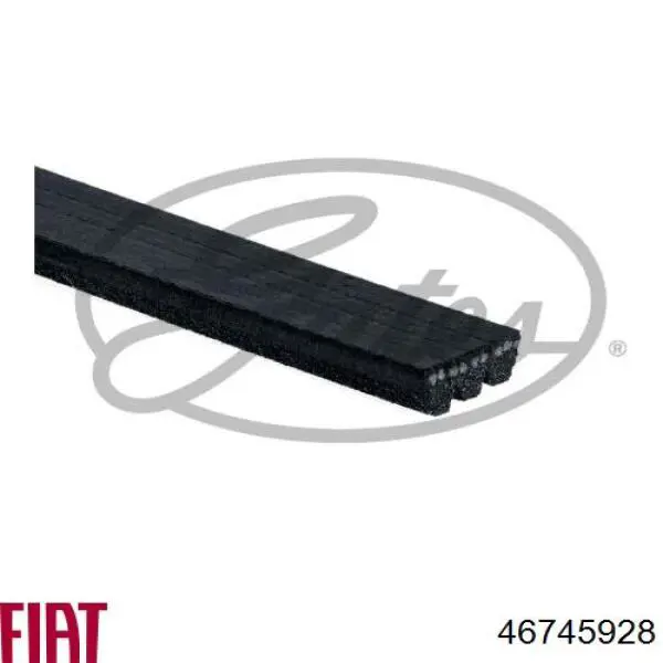 Клиновий ремінь Fiat/Alfa/Lancia 46745928 ціна, від 5.83 USD