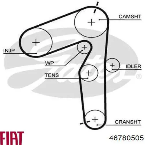 Ремінь ГРМ 46780505 Fiat/Alfa/Lancia
