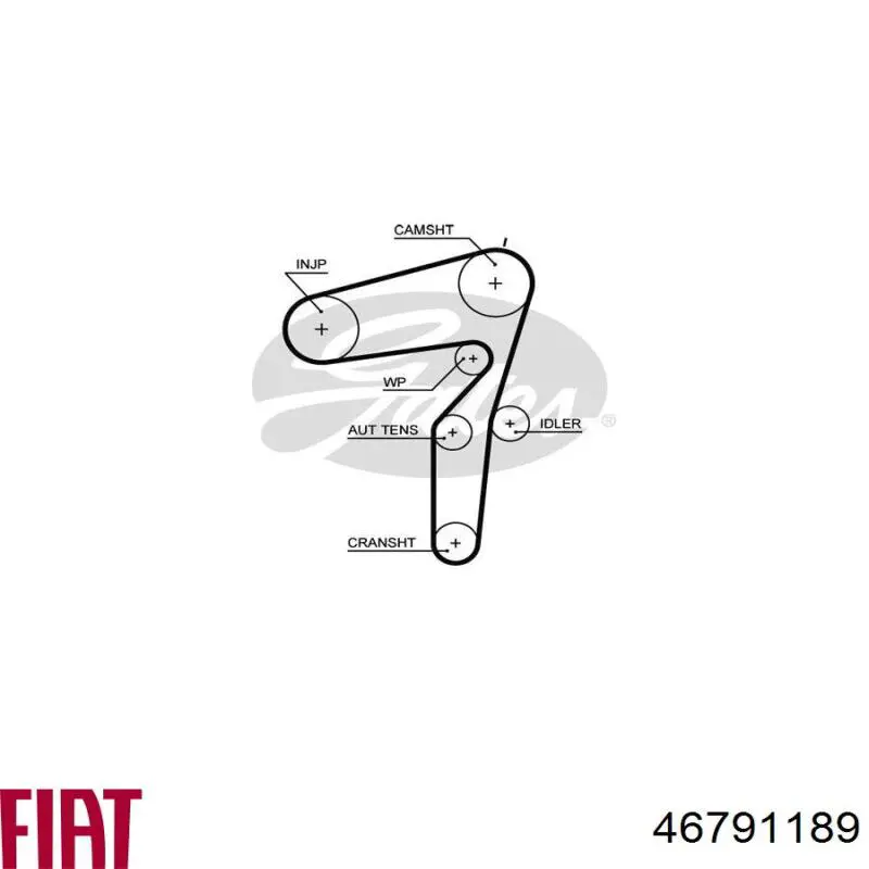 Купити 46791189 Fiat/Alfa/Lancia Ремінь газорозподільного механізму