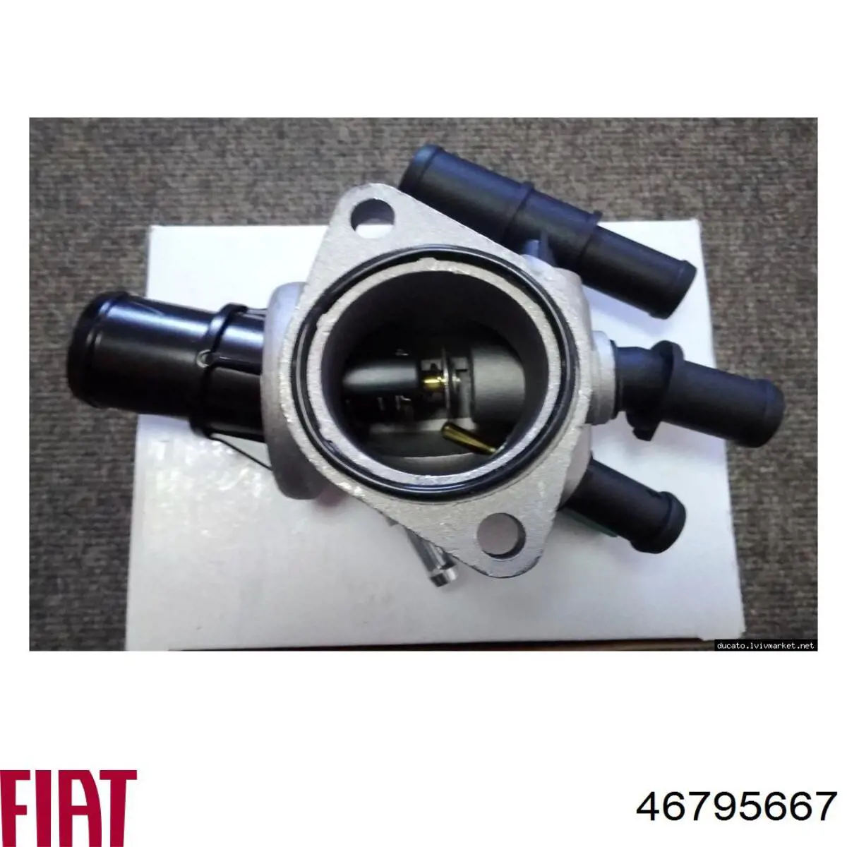 Купити 46795667 Fiat/Alfa/Lancia Корпус термостата