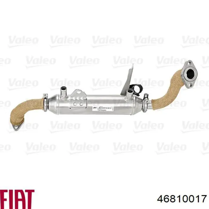 Купити 46810017 Fiat/Alfa/Lancia Радіатор системи EGR рециркуляції вихлопних газів