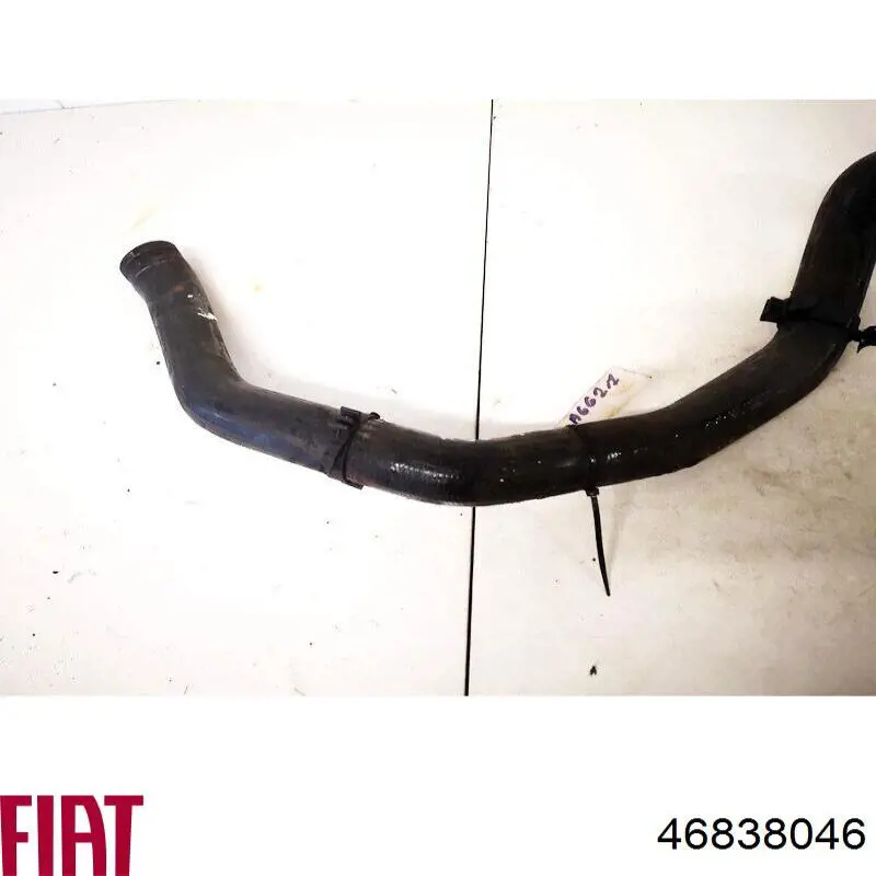 Шланг/патрубок радіатора охолодження, нижній Fiat/Alfa/Lancia 46838046 ціна, від 36.21 USD