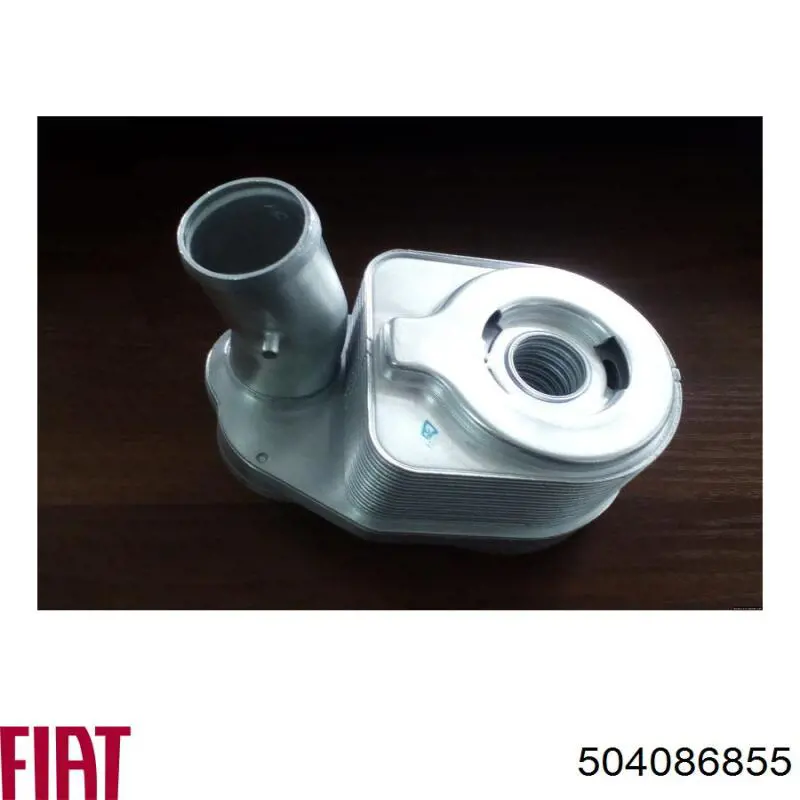 Купити 504086855 Fiat/Alfa/Lancia Радіатор масляний