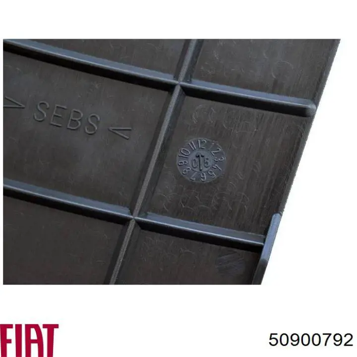 Бризковики задні, комплект на Fiat Ducato II 244