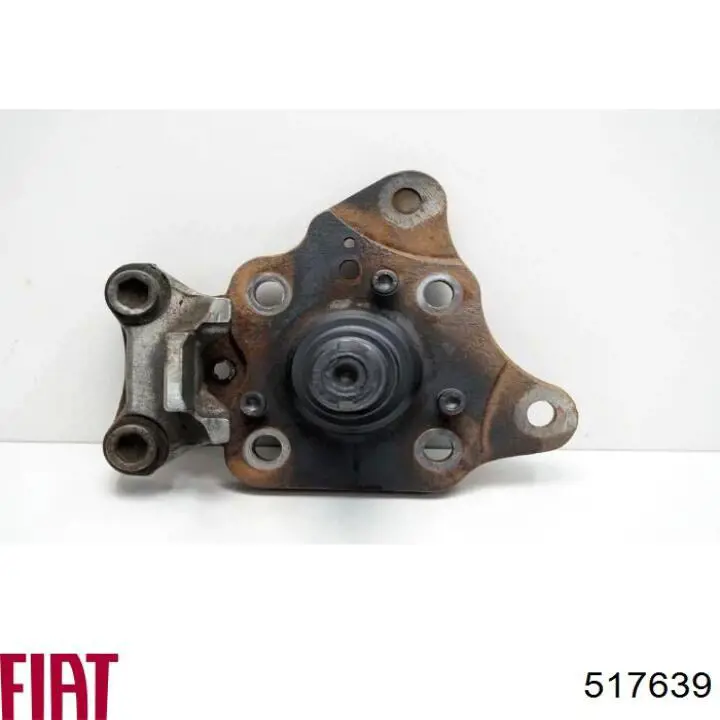 Купити 517639 Peugeot/Citroen Цапфа - поворотний кулак заднім виходом,