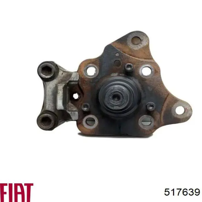 Цапфа поворотного кулака Peugeot/Citroen 517639 ціна, від 0.82 USD