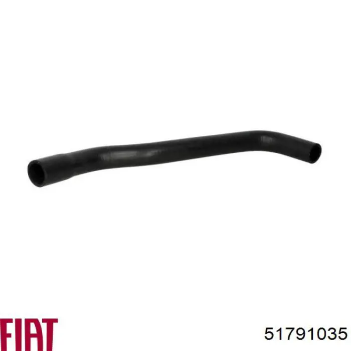 Купити DWF025TT Thermotec Шланг/патрубок радіатора охолодження, верхній