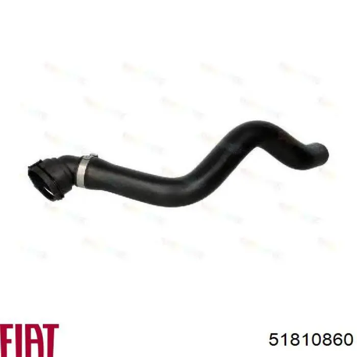 51810860 Fiat/Alfa/Lancia Шланг/патрубок радіатора охолодження, нижній