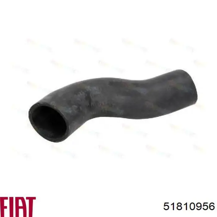 Купити 51810956 Fiat/Alfa/Lancia Шланг/патрубок интеркуллера