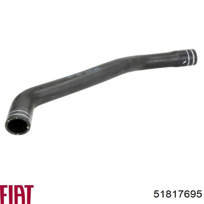 51817695 Fiat/Alfa/Lancia Шланг/патрубок радіатора охолодження, нижній
