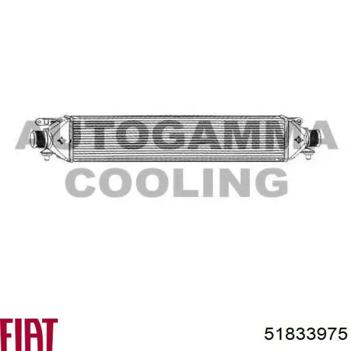 51833975 Fiat/Alfa/Lancia Охолоджувач наддувочного повітря
