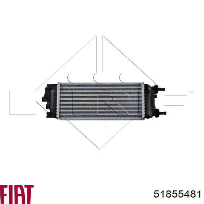 Радіатор интеркуллера 51855481 Fiat/Alfa/Lancia