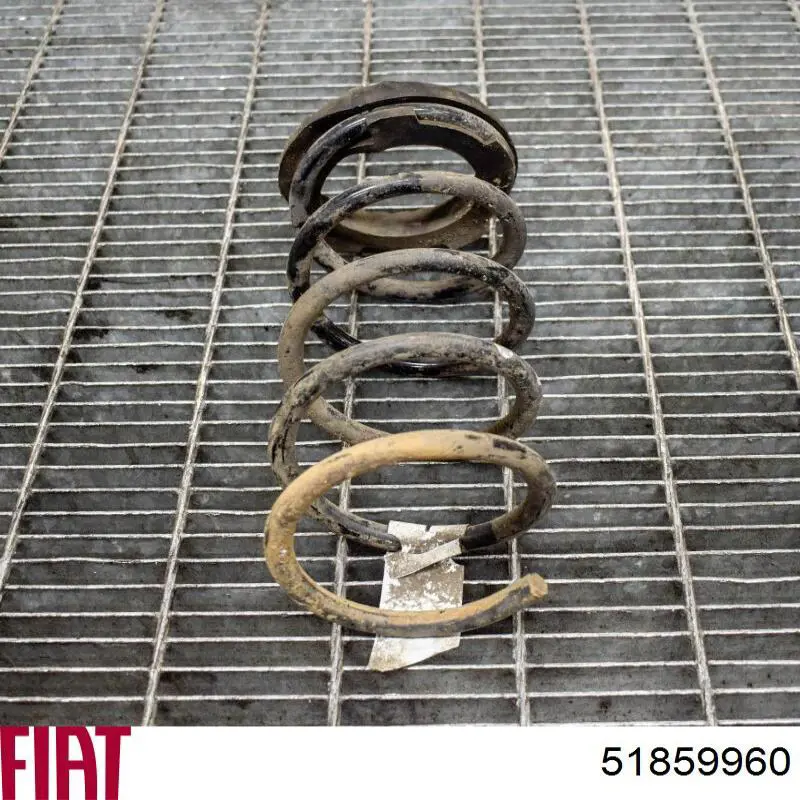 Пружина задня Fiat/Alfa/Lancia 51859960 ціна, від 30.16 USD