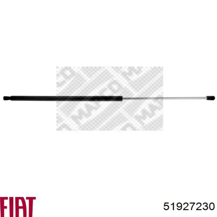 Амортизатор багажника 51927230 Fiat/Alfa/Lancia