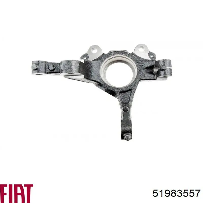 Цапфа поворотного кулака Fiat/Alfa/Lancia 51983557 ціна, від 42.31 USD
