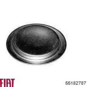 Купити 55182787 Fiat/Alfa/Lancia Заглушка блоку циліндрів