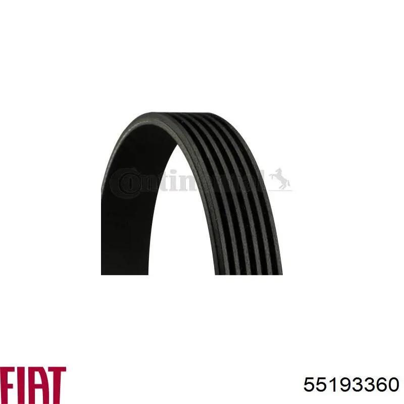 Ремінь генератора 55193360 Fiat/Alfa/Lancia