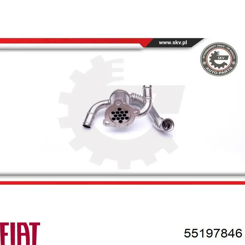 Купити 55197846 Fiat/Alfa/Lancia Радіатор системи EGR рециркуляції вихлопних газів