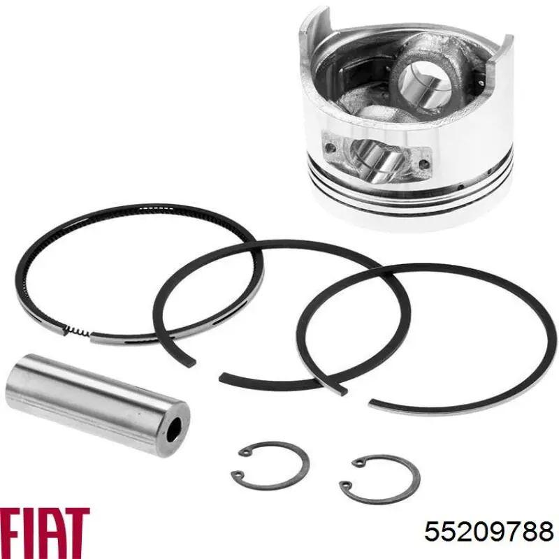 55209788 Fiat/Alfa/Lancia 