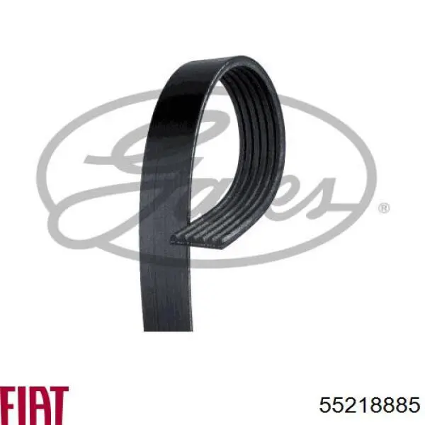 Ремінь генератора 55218885 Fiat/Alfa/Lancia