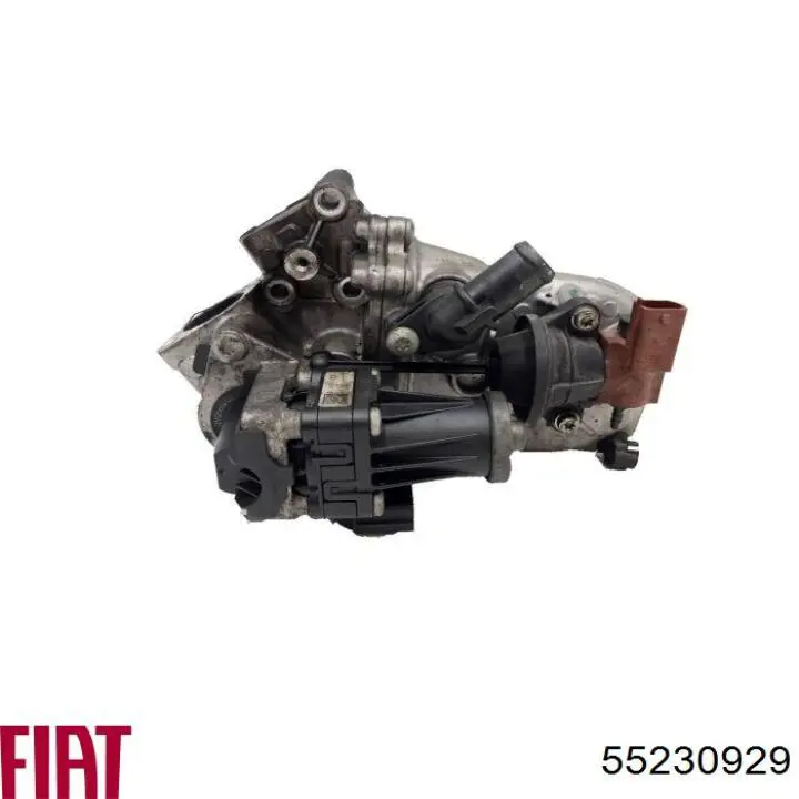 Радіатор системи EGR рециркуляції вихлопних газів 55230929 Fiat/Alfa/Lancia
