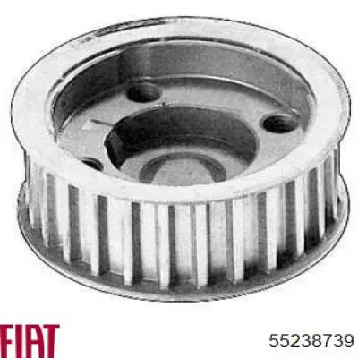 Купити 55238739 Fiat/Alfa/Lancia Зірка колінчастого вала