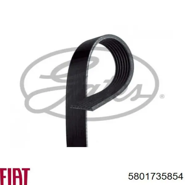 5801735854 Fiat/Alfa/Lancia Поліклиновий ремінь