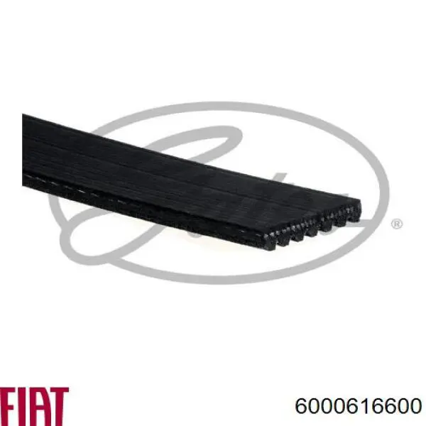 Ремінь приводний, агрегатів, комплект SNR KA85533 ціна, від 123.08 USD