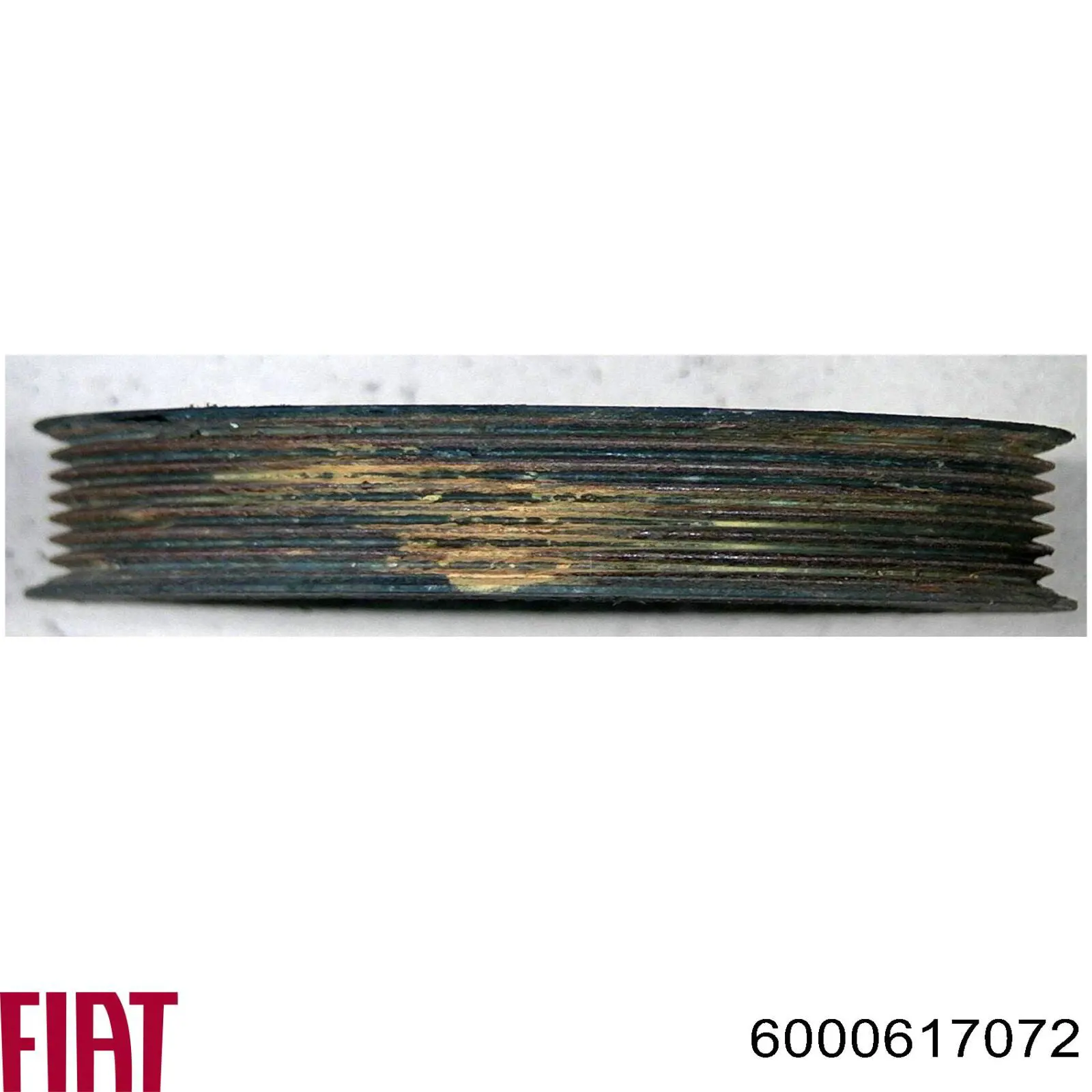Сайлентблок підрамника задній Renault (RVI) 550448498R