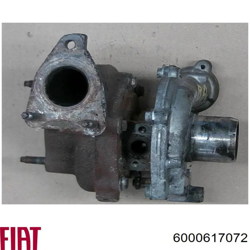 Купити 550448498R Renault (RVI) Сайлентблок задньої балки