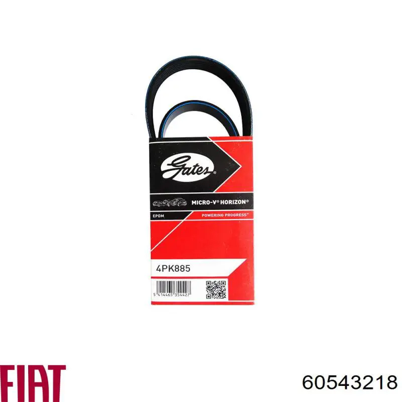 Купити 60543218 Fiat/Alfa/Lancia Ремінь генератора