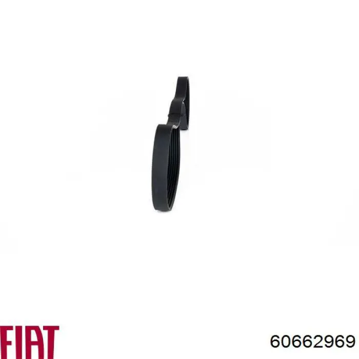 Клиновий ремінь Fiat/Alfa/Lancia 60662969 ціна, від 12.67 USD