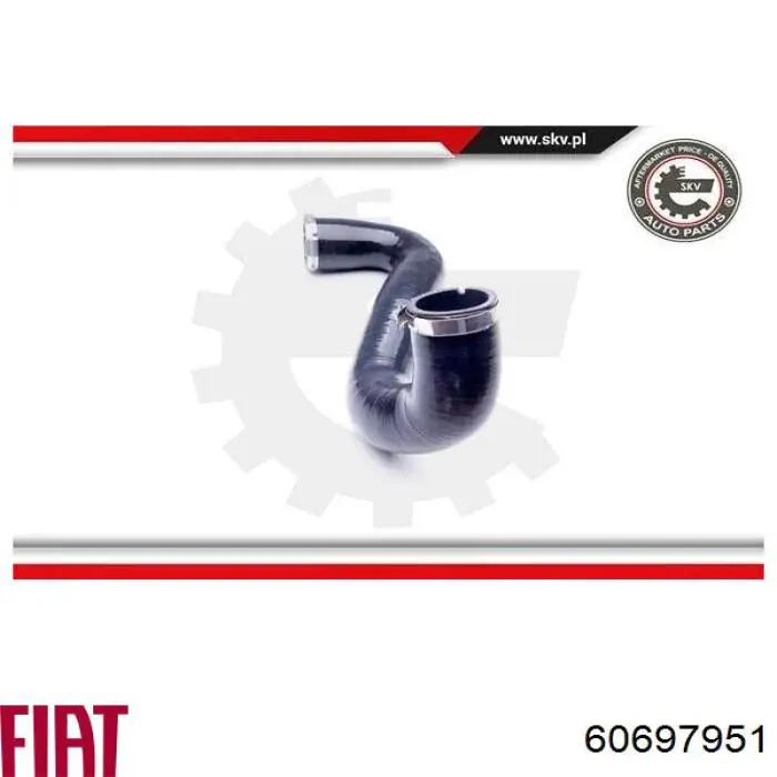 Шланг/патрубок інтеркуллера Denckermann F100098 ціна, від 24.79 USD