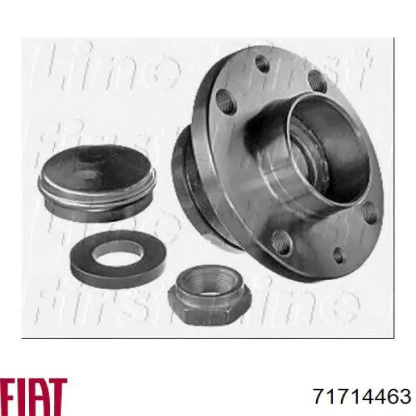 Маточини задніх коліс Fiat/Alfa/Lancia 71714463 ціна, від 30.58 USD