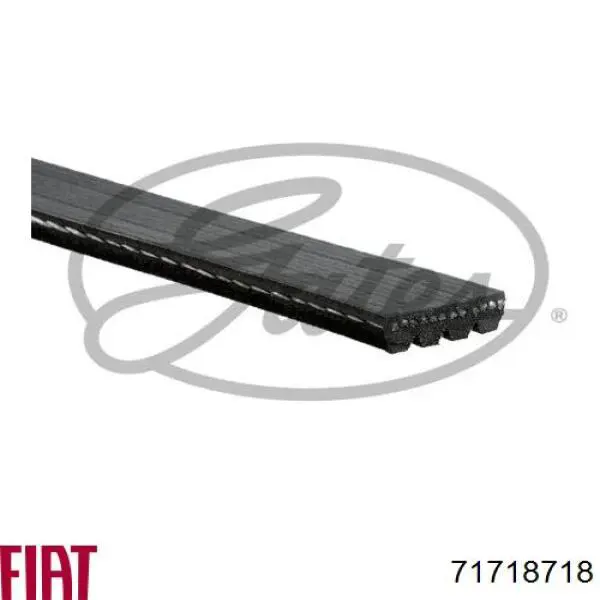 Клиновий ремінь Fiat/Alfa/Lancia 71718718 ціна, від 4.56 USD