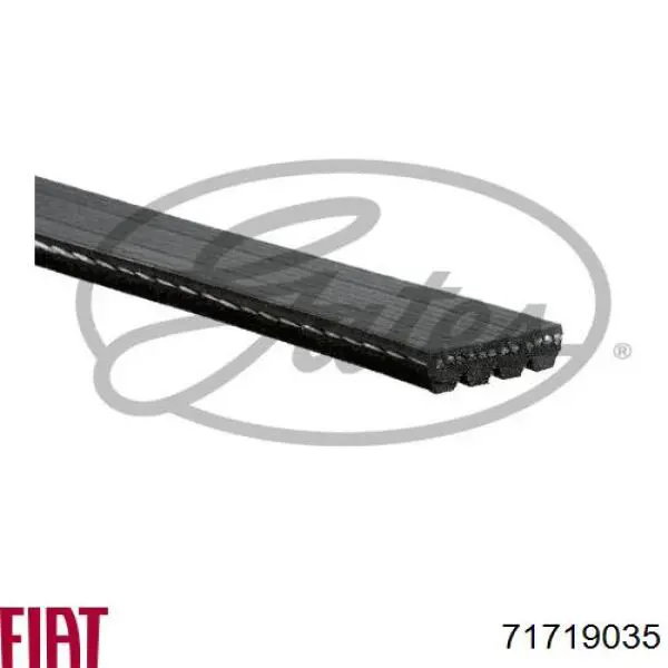 71719035 Fiat/Alfa/Lancia Поліклиновий ремінь