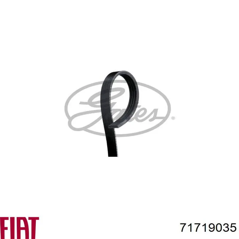 Клиновий ремінь Fiat/Alfa/Lancia 71719035 ціна, від 5.81 USD