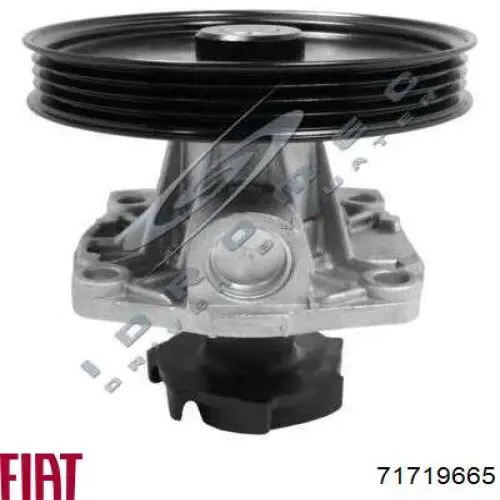 Купити 71719665 Fiat/Alfa/Lancia Насос охолоджуючої рідини