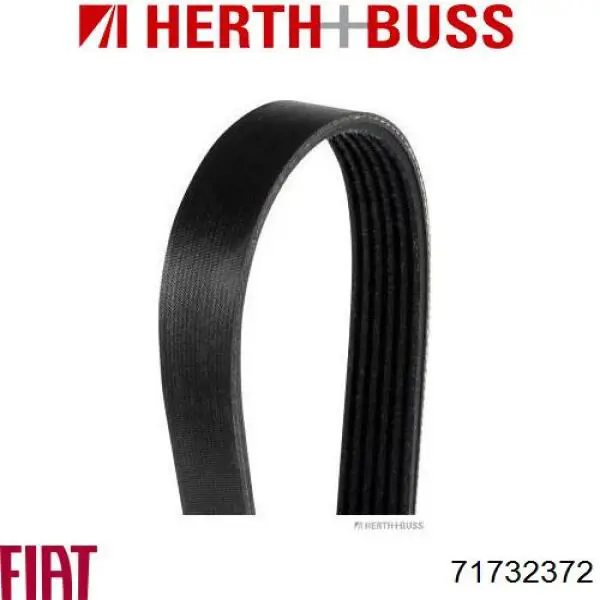 Клиновий ремінь Fiat/Alfa/Lancia 71732372 ціна, від 17.89 USD