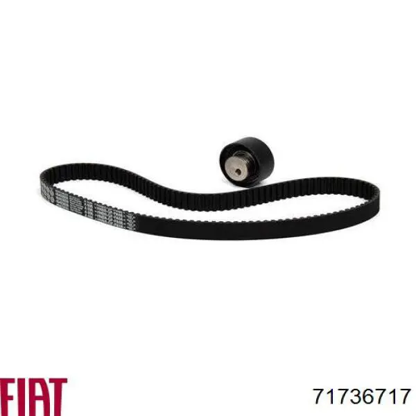 Комплект ГРМ Fiat/Alfa/Lancia 71736717 ціна, від 60.81 USD