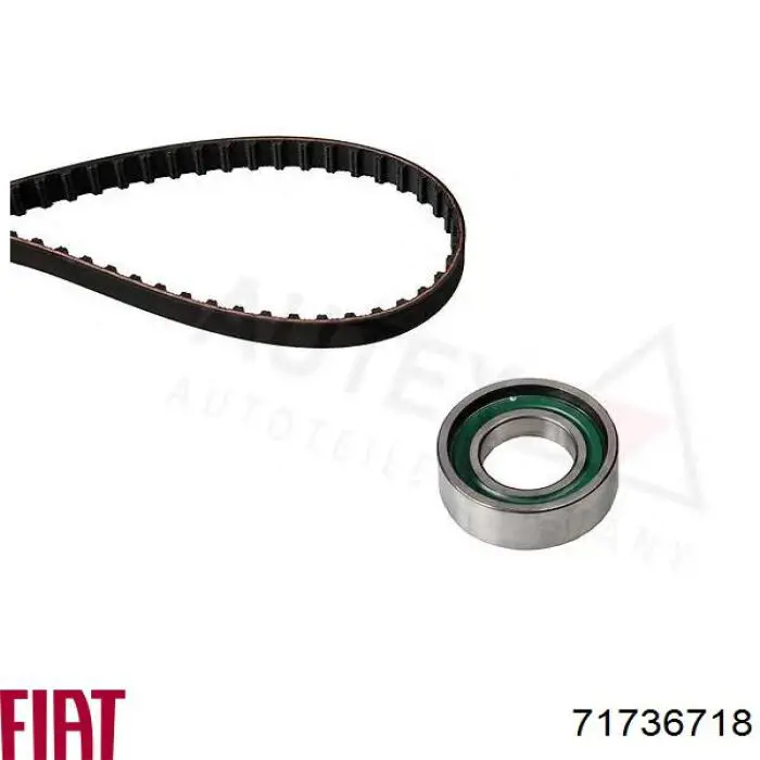 Комплект ГРМ Fiat/Alfa/Lancia 71736718 ціна, від 19.73 USD