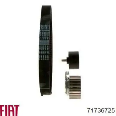 Купити 71736725 Fiat/Alfa/Lancia ГРМ ремень