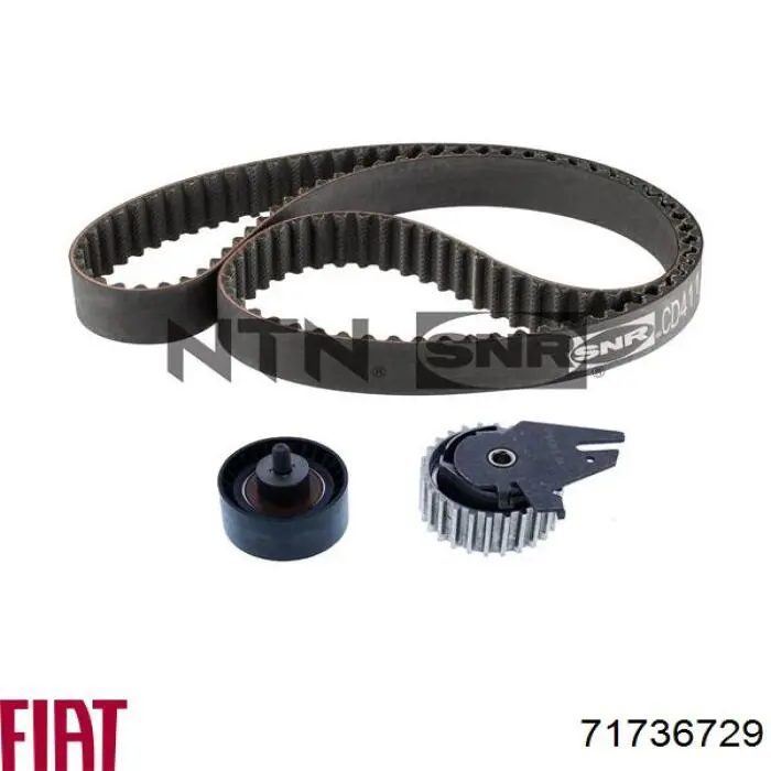Купити 71736729 Fiat/Alfa/Lancia ГРМ ремень