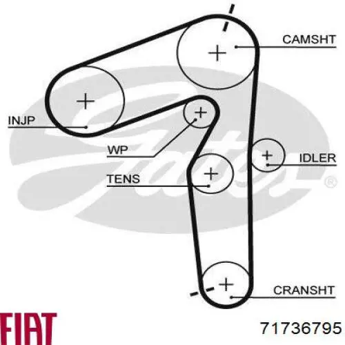 Купити 71736795 Fiat/Alfa/Lancia ГРМ ремень