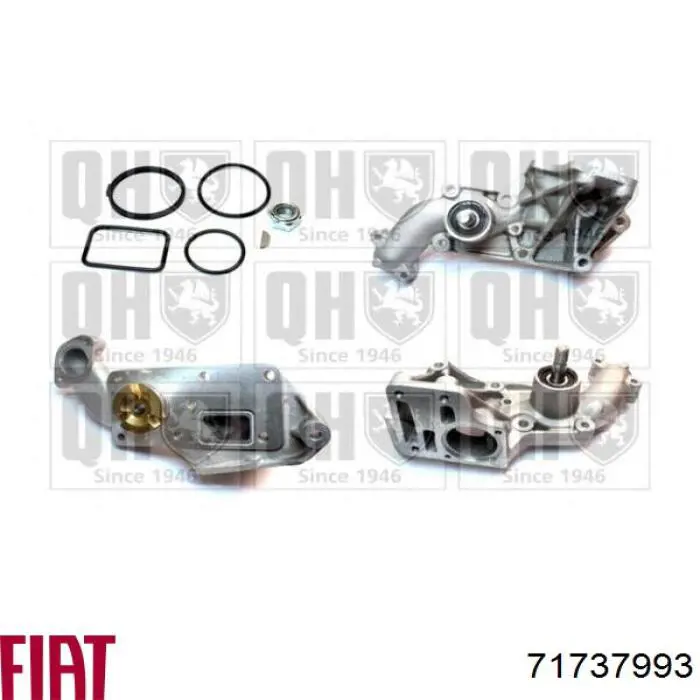 Купити 71737993 Fiat/Alfa/Lancia Насос охолоджуючої рідини